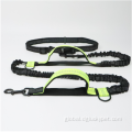 Pet Leashes Traction Rope Pet Leashes Traction Rope Running Belt Traction Rope Manufactory
